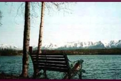 lakesideviews